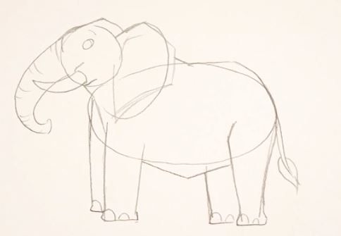اموزش نقاشی فیل