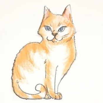 آموزش نقاشی گربه