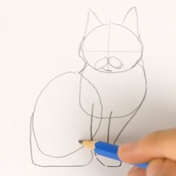drawing cat