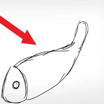 نقاشی ماهی به سه روش