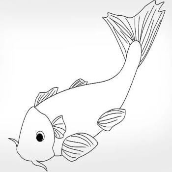 drawing fish