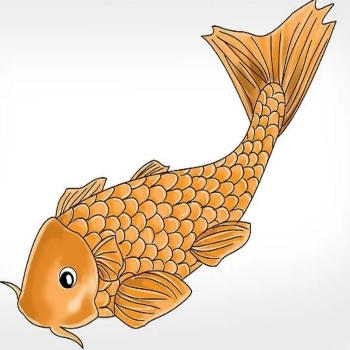 آموزش نقاشی ماهی
