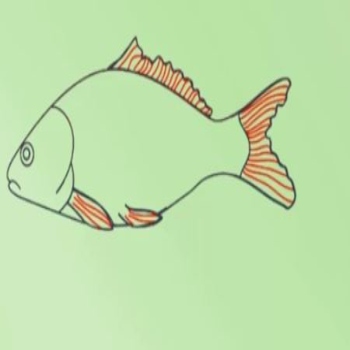 how to draw fish