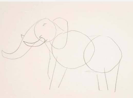 آموزش نقاشی فیل به سه روش