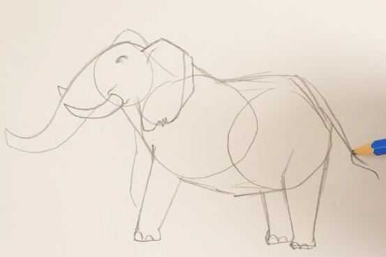 اموزش نقاشی فیل برای نوجوانان