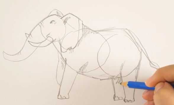 نقاشی فیل میلورن