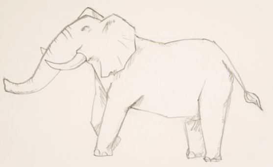 نقاشی فیل به چهار روش