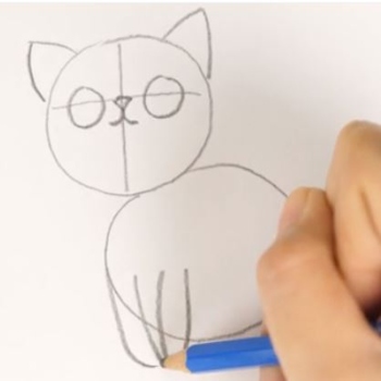 how to draw a cartoon cat